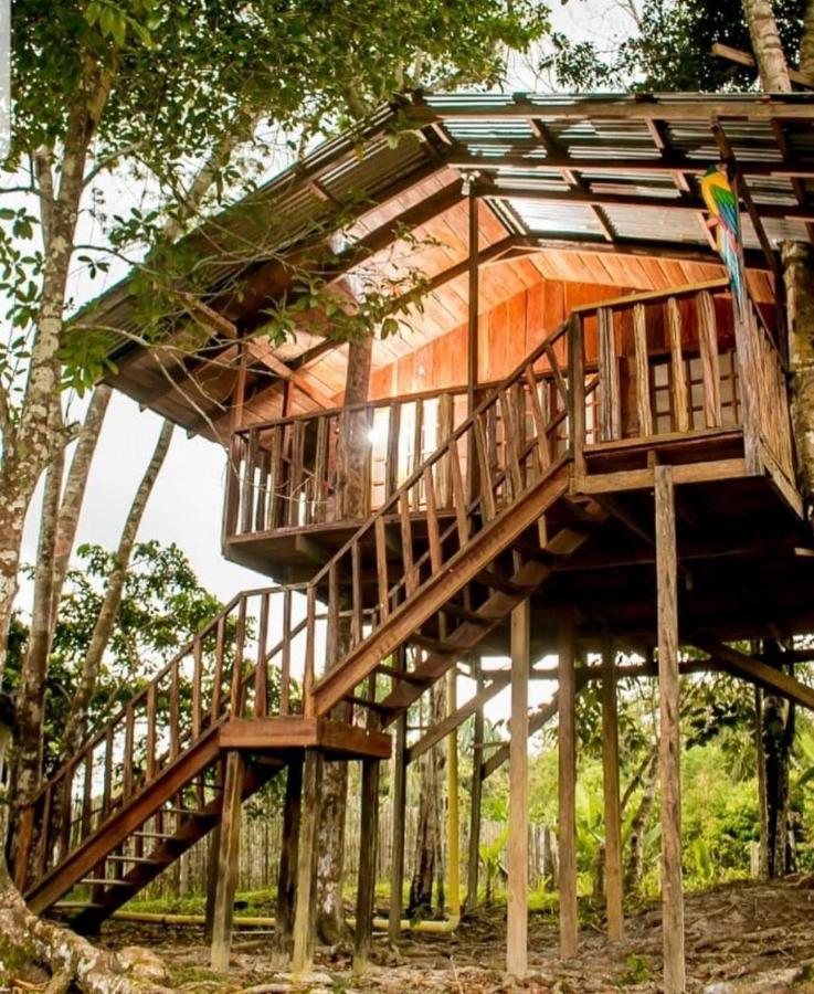 Hotel Karupa Amazonas Leticia Buitenkant foto