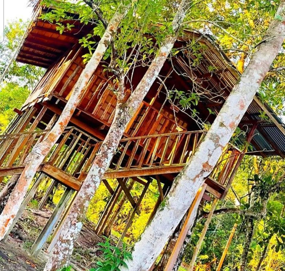 Hotel Karupa Amazonas Leticia Buitenkant foto