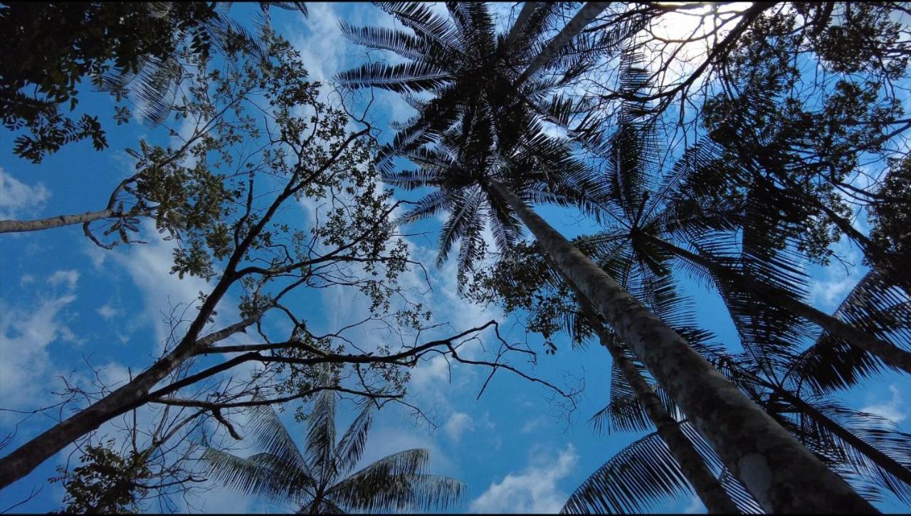 Hotel Karupa Amazonas Leticia Buitenkant foto