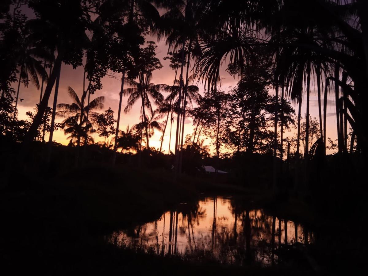Hotel Karupa Amazonas Leticia Buitenkant foto